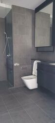 Park Colonial (D13), Condominium #499933951